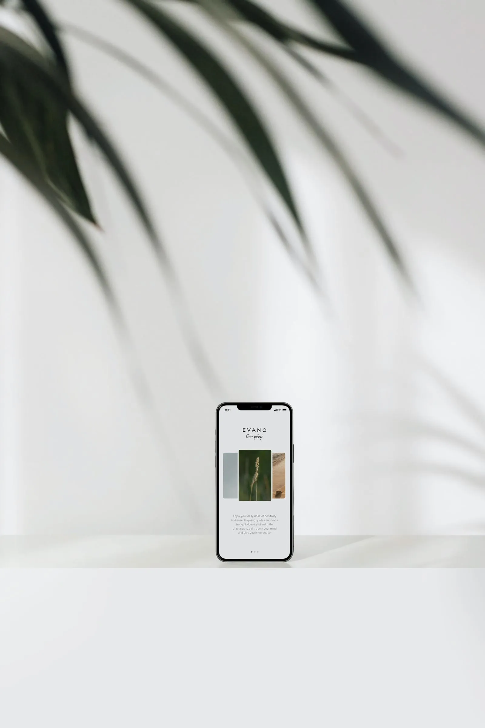 すっきりしたホームページを映したスマートフォンと植物